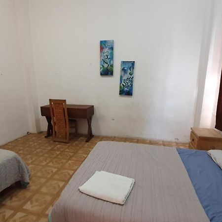 Taiyari Hostal Monterrey Exterior photo